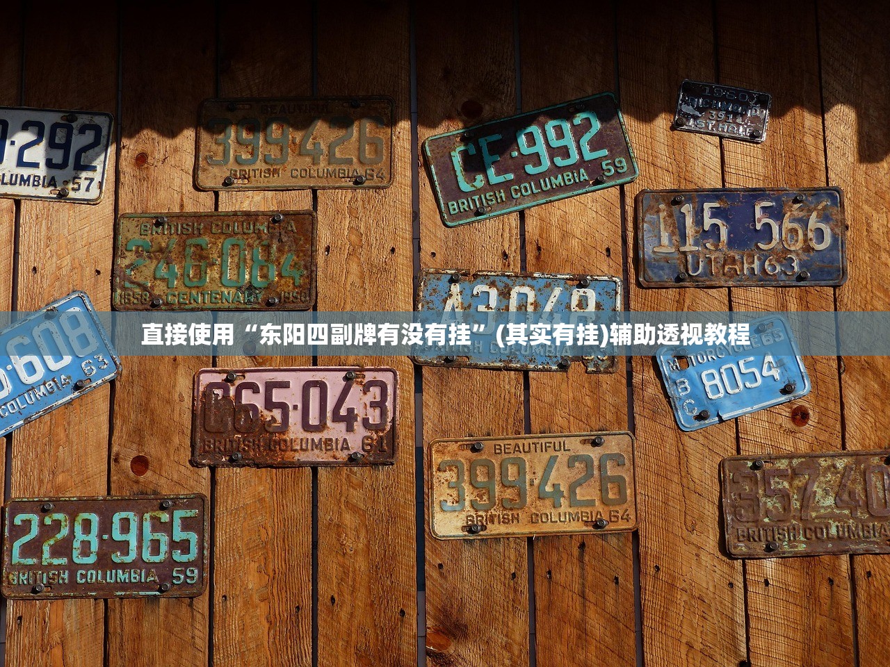 直接使用“东阳四副牌有没有挂”(其实有挂)辅助透视教程
