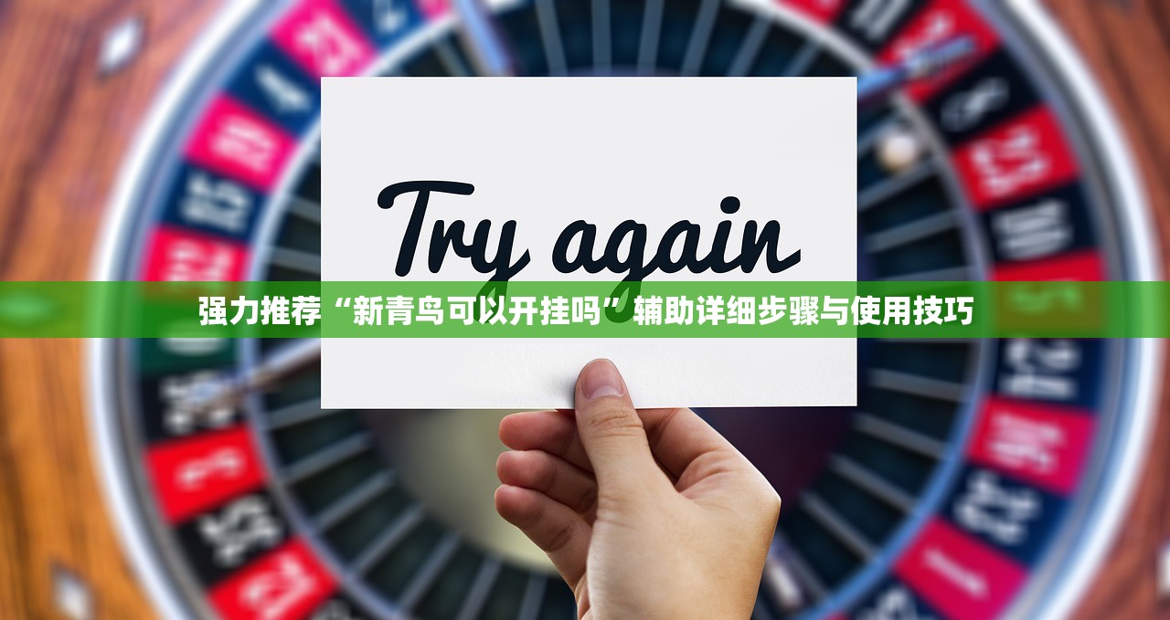 强力推荐“新青鸟可以开挂吗	”辅助详细步骤与使用技巧