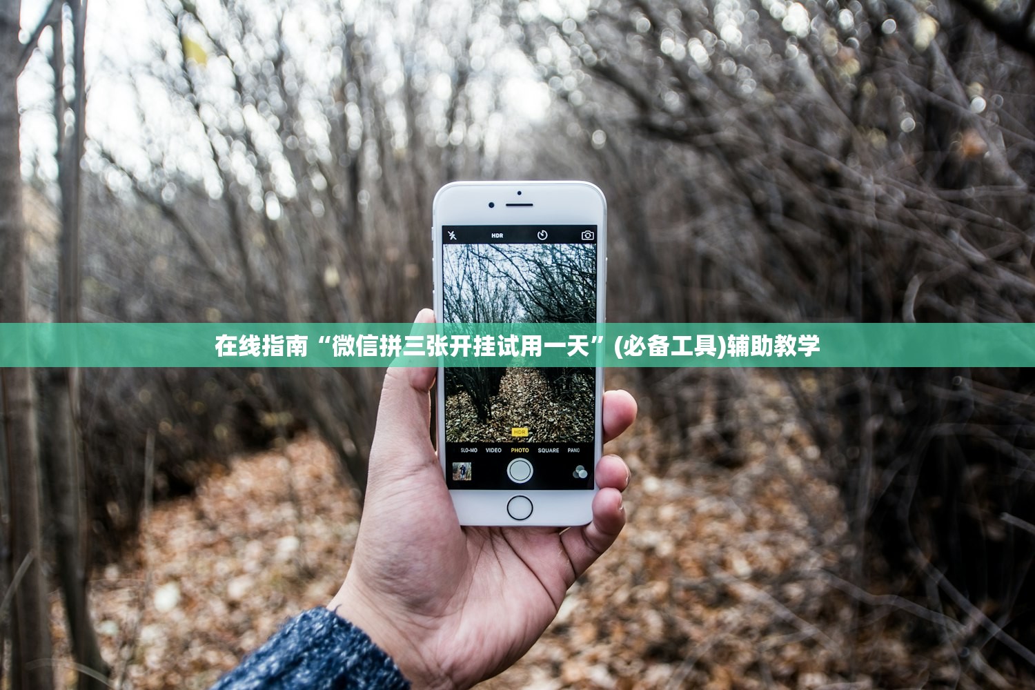 在线指南“微信拼三张开挂试用一天	”(必备工具)辅助教学