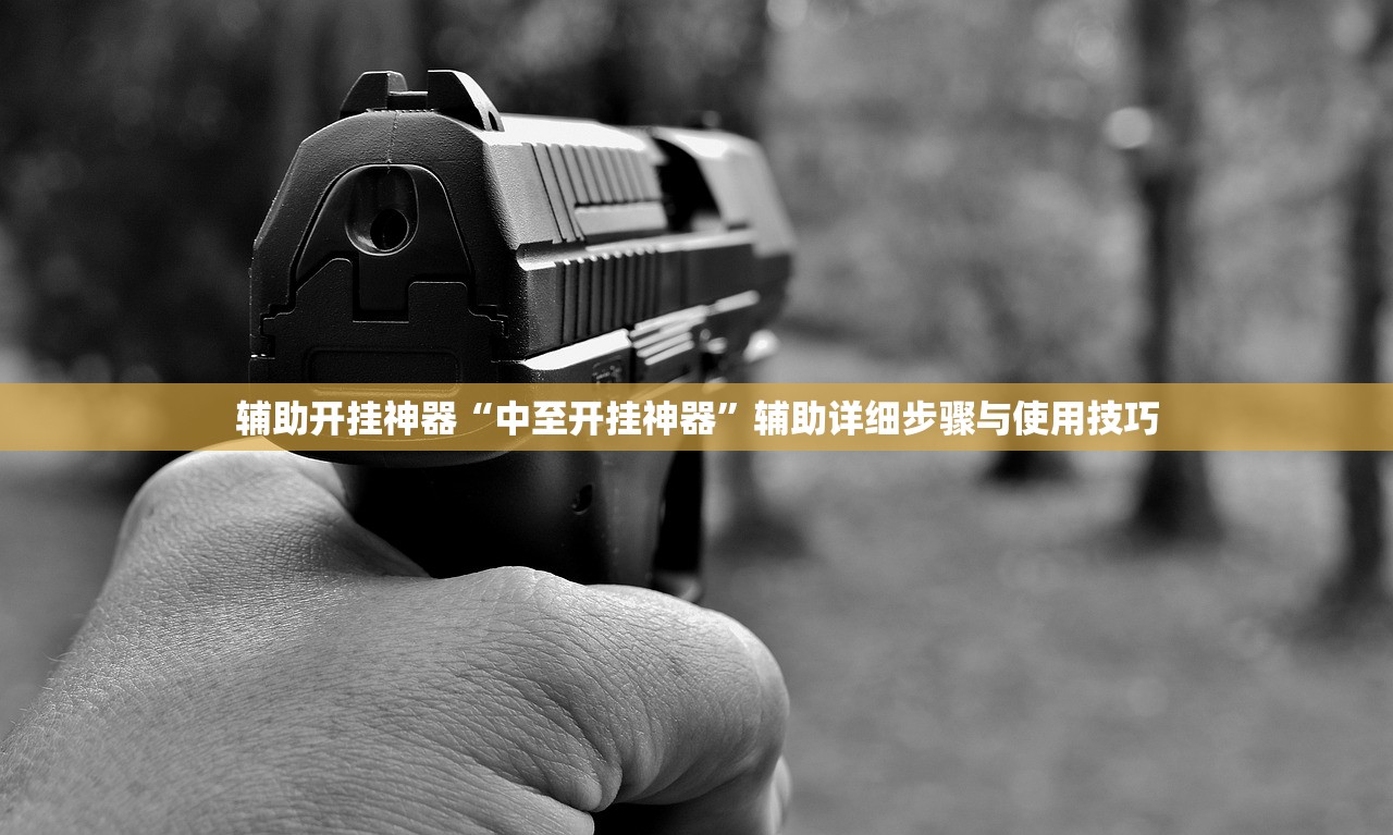 辅助开挂神器“中至开挂神器”辅助详细步骤与使用技巧