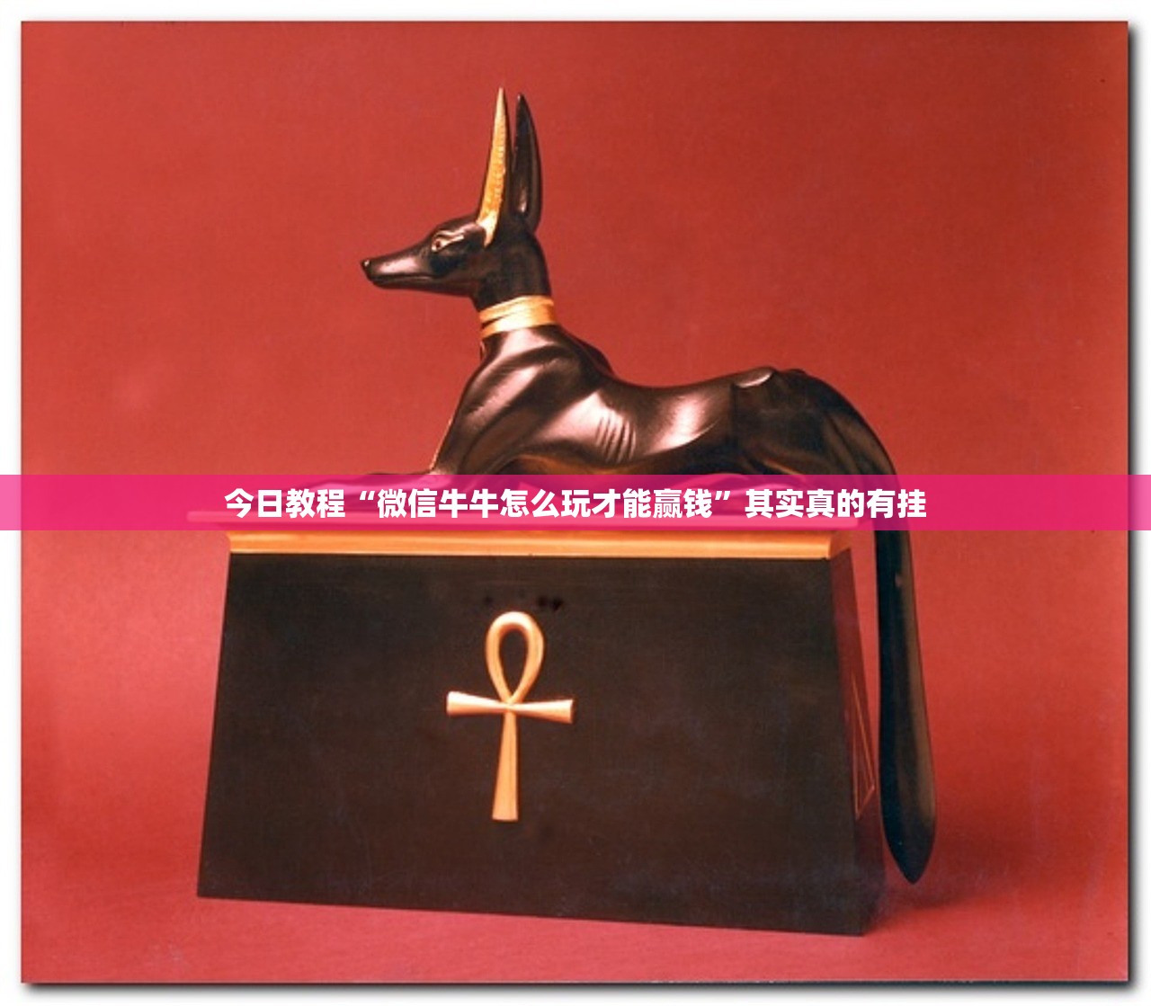 今日教程“微信牛牛怎么玩才能赢钱”其实真的有挂